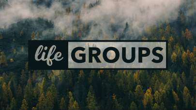 LifeGroup-Web